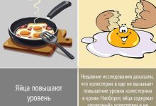 Photo of Интересные факты о кулинарии